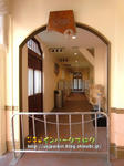 CIMG9919-2.jpg