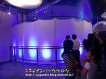 CIMG1329-2.jpg