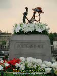 CIMG0138-2.jpg