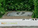 CIMG0338-2.jpg