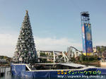 CIMG3852-2.jpg