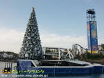 CIMG3855-2.jpg