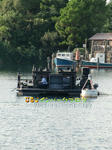 CIMG3859-2.jpg