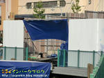 CIMG3864-2.jpg