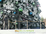 CIMG3875-2.jpg