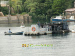 CIMG4029-2.jpg