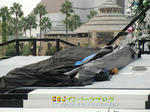CIMG4039-2.jpg