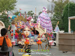 CIMG4461-2.jpg