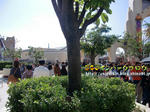 CIMG4367-2.jpg