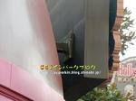CIMG5009-2.jpg