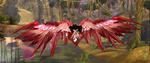 Aion0147.jpg