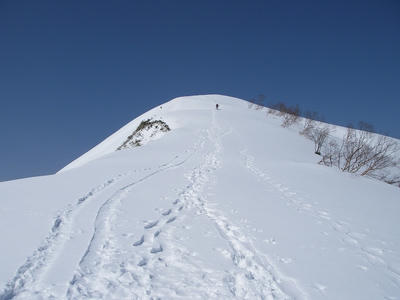 IMGP3775.jpg