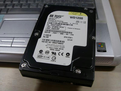 IMGP4153.jpg