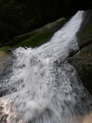 IMGP4444.jpg