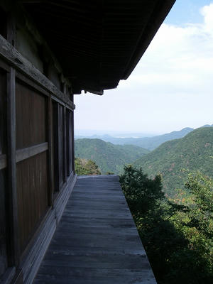 IMGP4547.jpg
