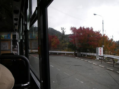 IMGP4900.jpg