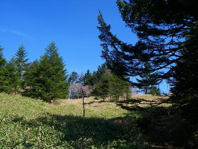 IMGP5333.jpg