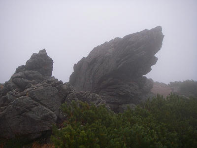 IMGP0095.jpg