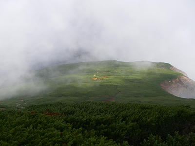 IMGP0114.jpg