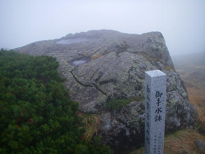 IMGP0115.jpg