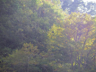 IMGP0139.jpg
