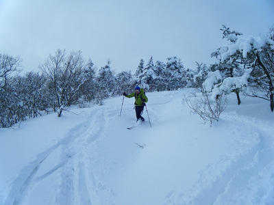 DSCF1577.jpg