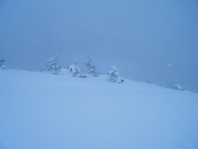 DSCF1591.jpg