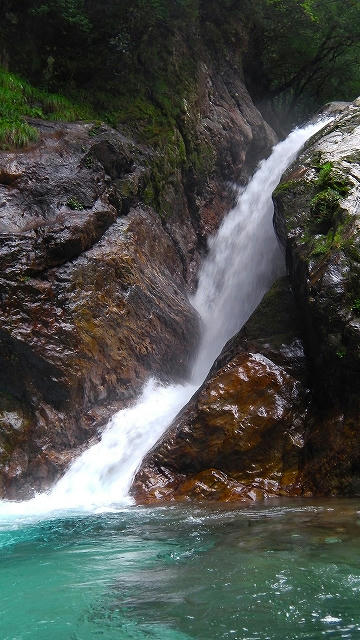 IMGA0813.jpg
