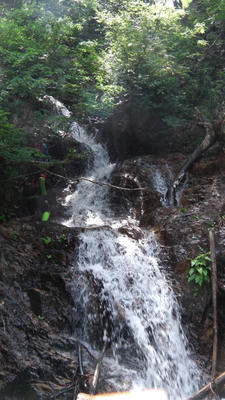 IMGA0690.JPG