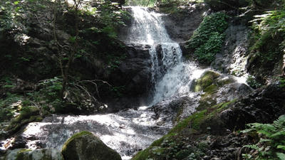 IMGA0664.JPG