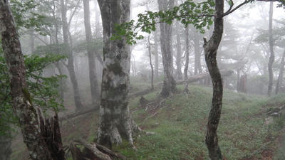 IMGA0836.JPG