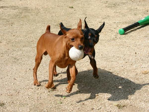 Img_5958.jpg