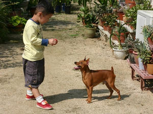 Img_5956.jpg