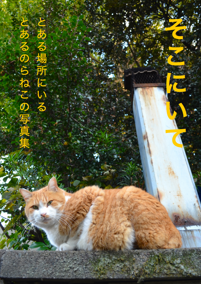 写真集「そこにいて」を作りました