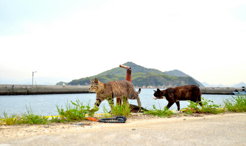 猫島、香川県にある男木島に行ってきた