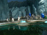 20081129_pen.JPG