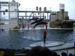 20081208_dol1.JPG