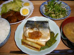 20090130.JPG