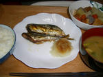 20090212.JPG
