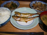 20090304.JPG