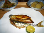 20091013.JPG