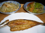 20091113.JPG