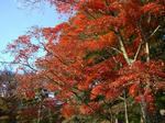 20091123.JPG