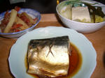 20091224.JPG