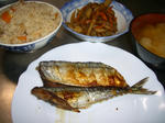 20101104.JPG