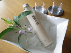 P7100054.JPG