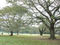 PA170144.JPG