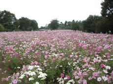 PA170148.JPG