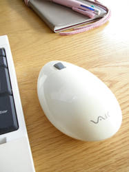 PC100029.JPG
