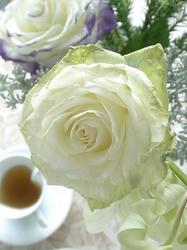 PC190085.JPG